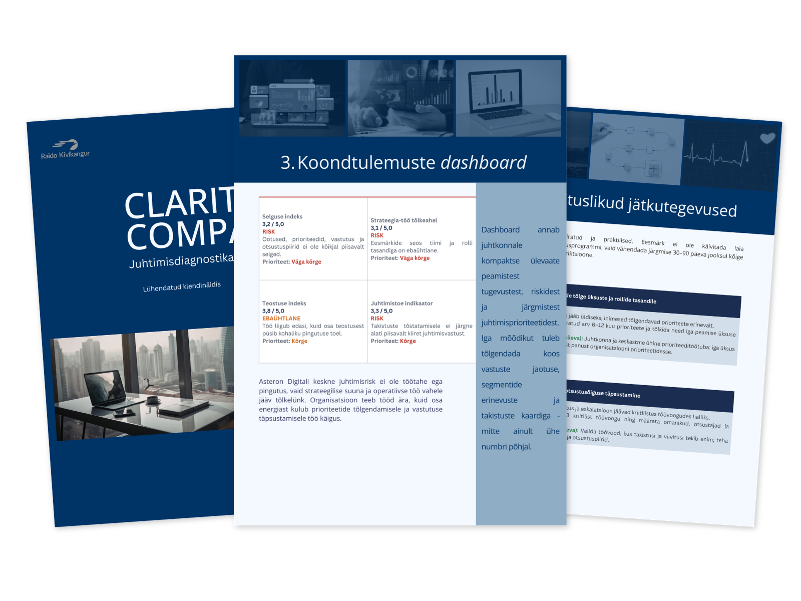 Clarity Compassi kolme lehe raporti näidis